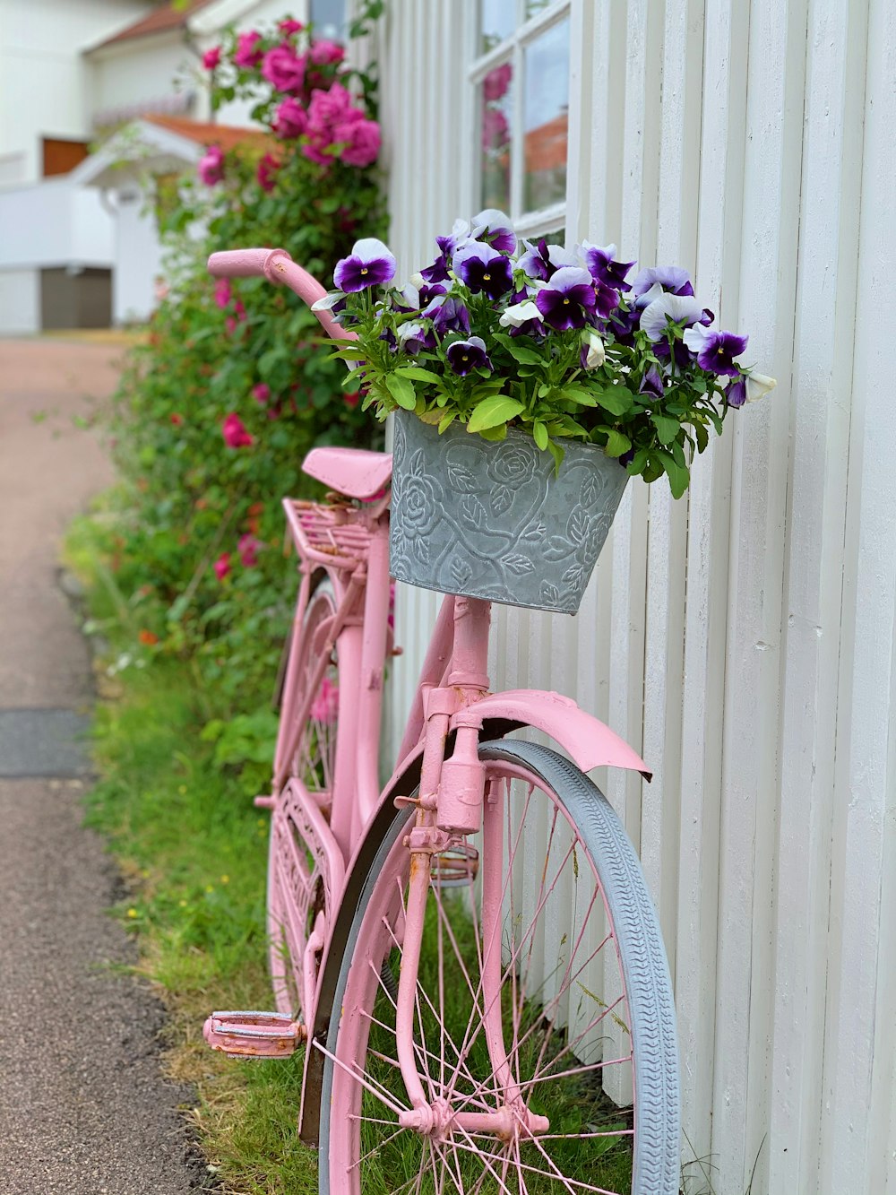 pink and purple flowers on bicycle basket