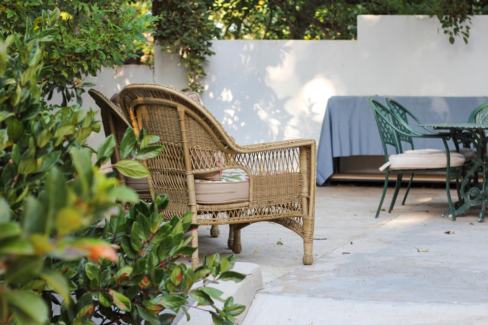 brown wooden armchair beside green plant