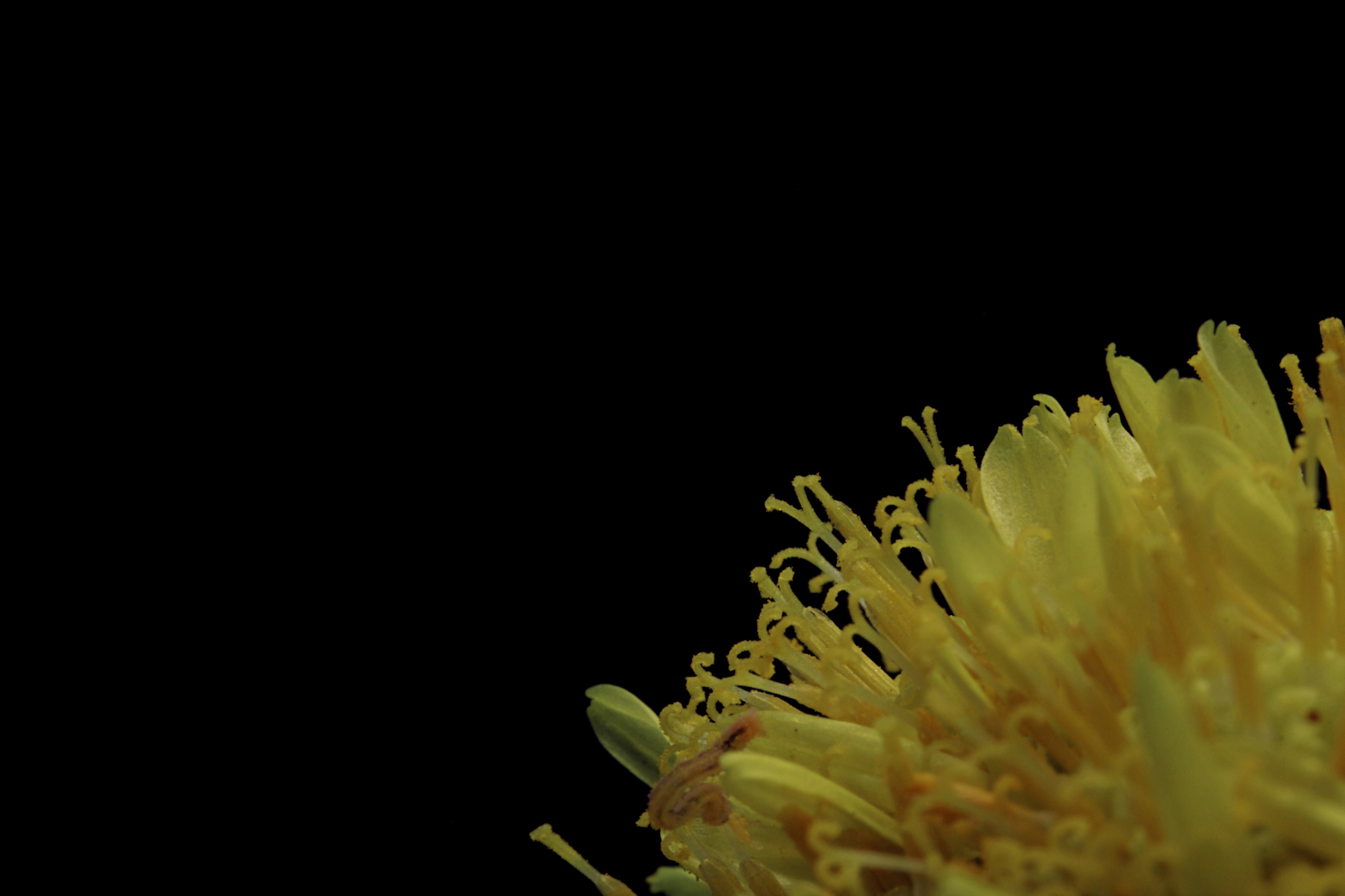 Photo by picsbyjameslee