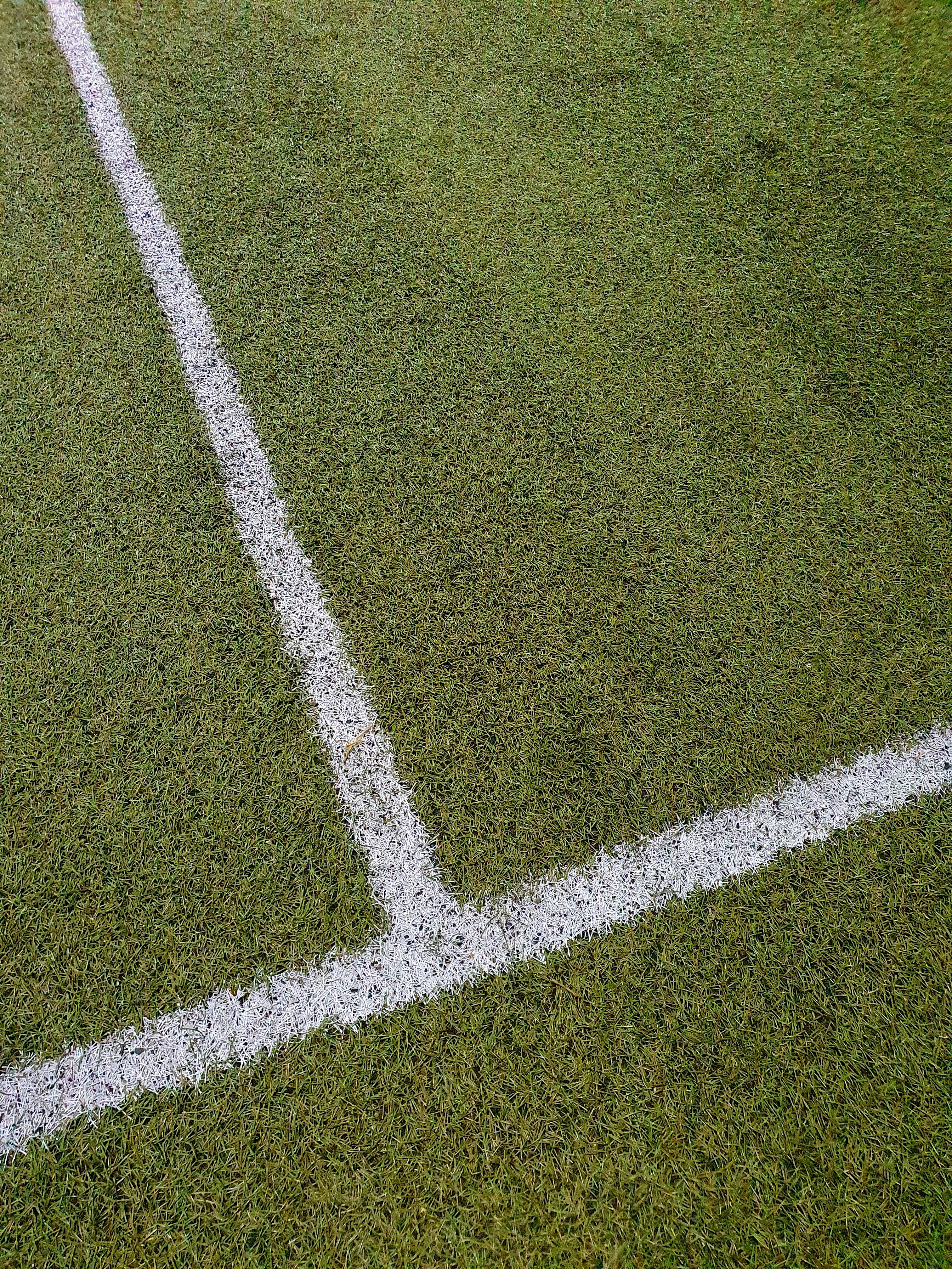 Photo by danielbalaure