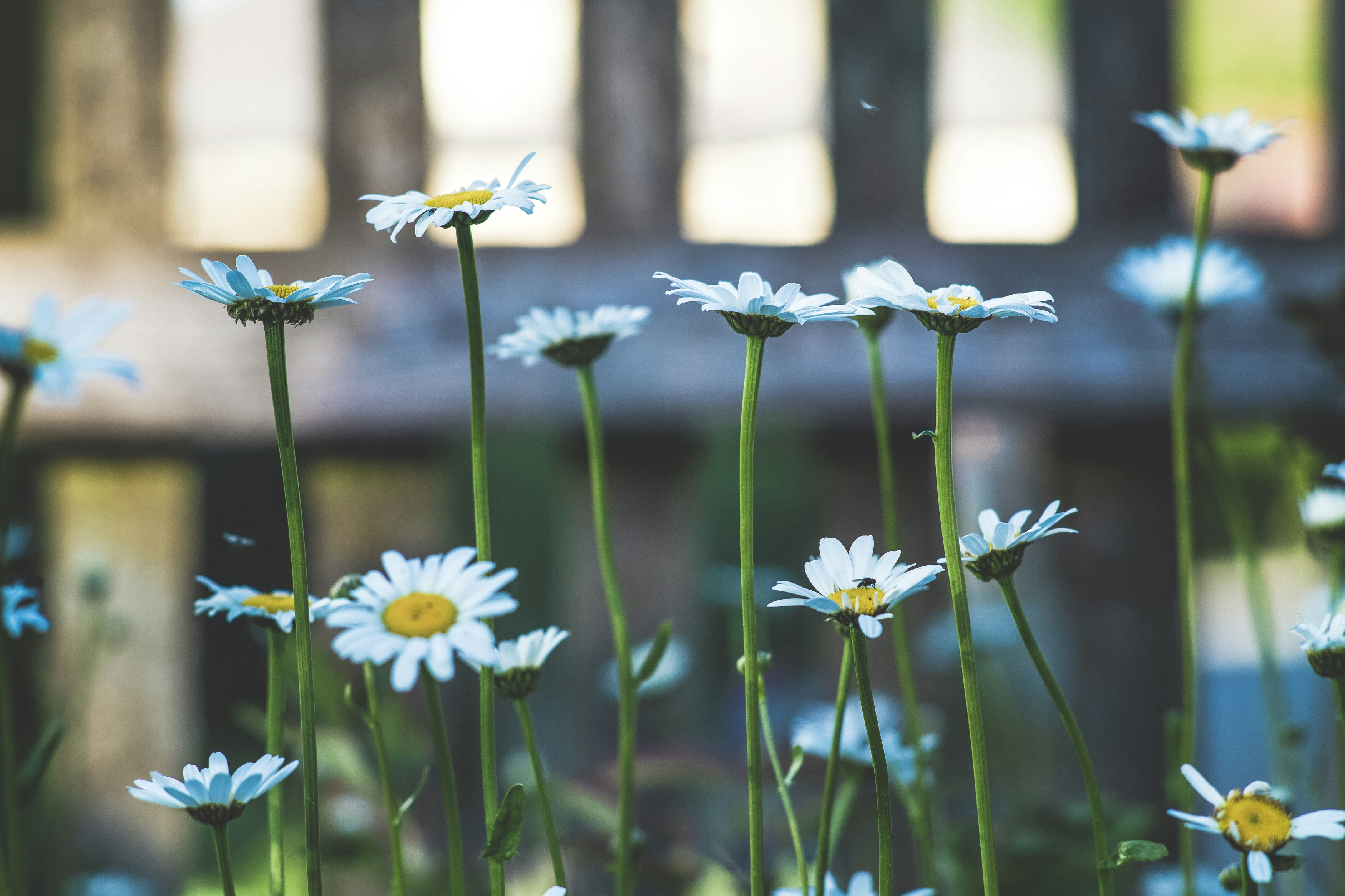 Photo by markusspiske