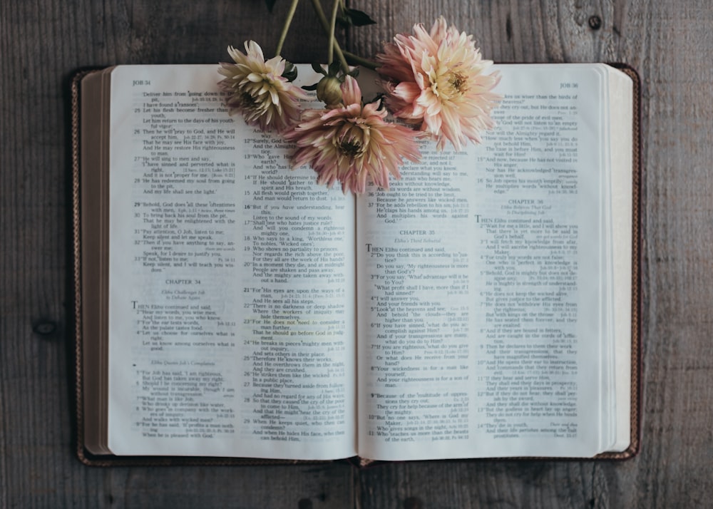 white book page with pink flower