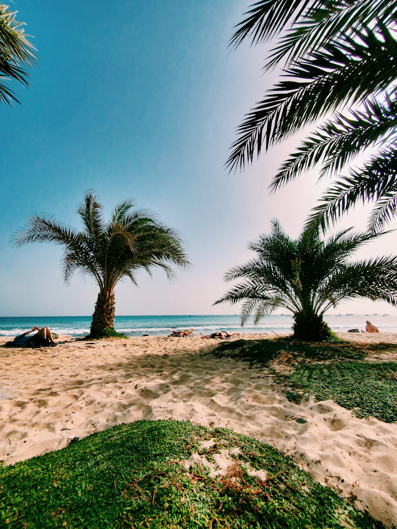 Plage de sable et eau turquoise au Cap-Vert