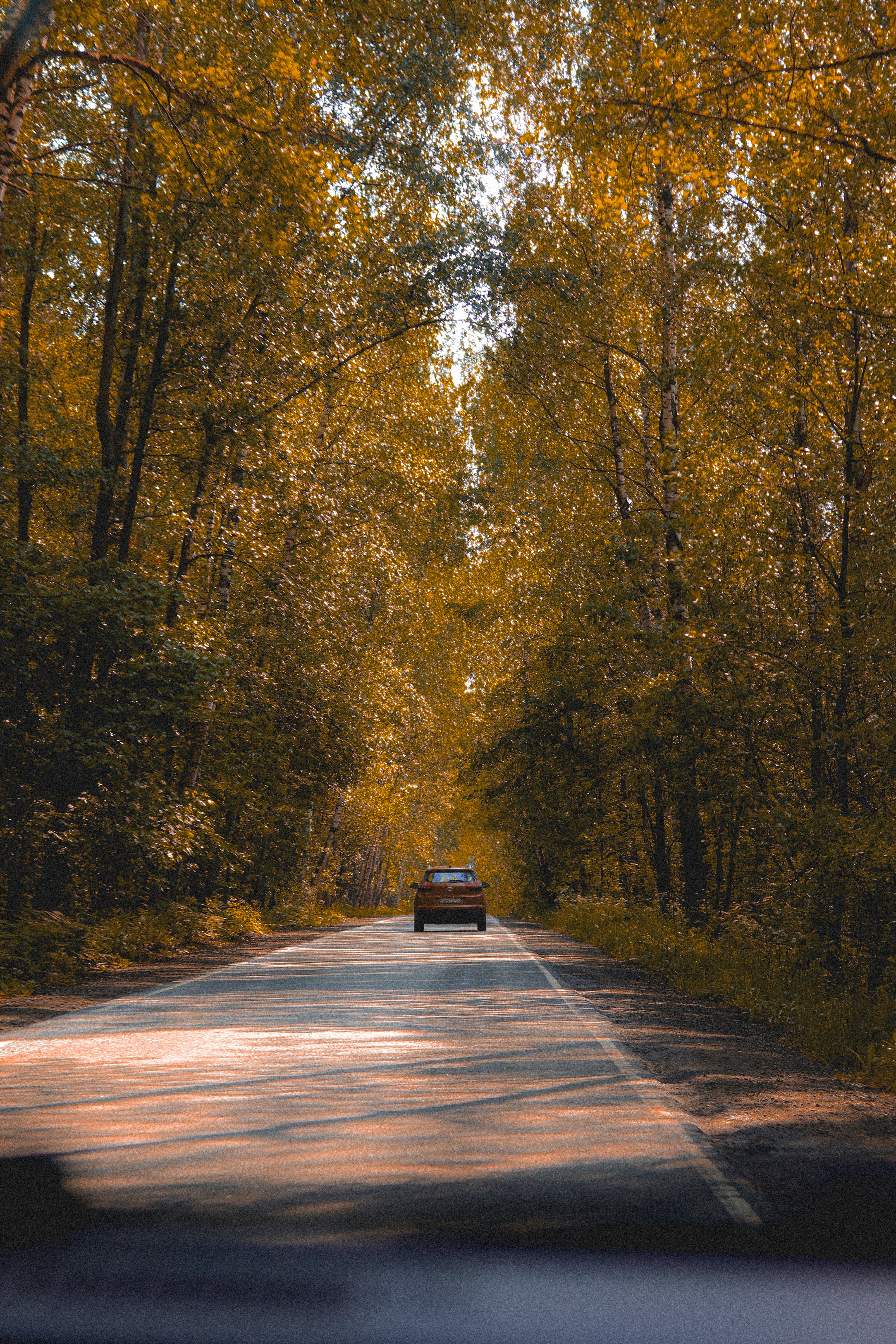 Photo by spiridonovaph