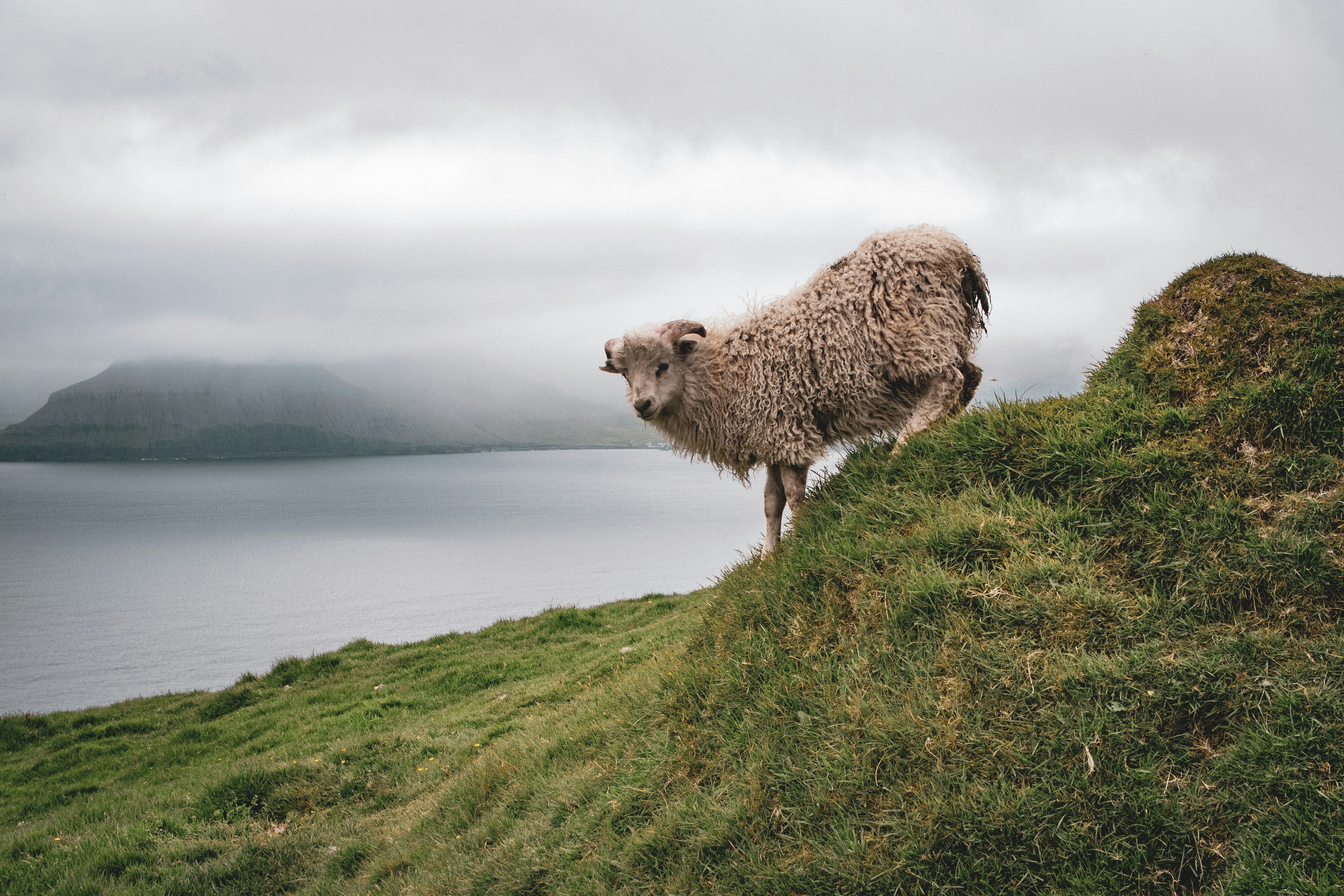 Photo by isaksandin