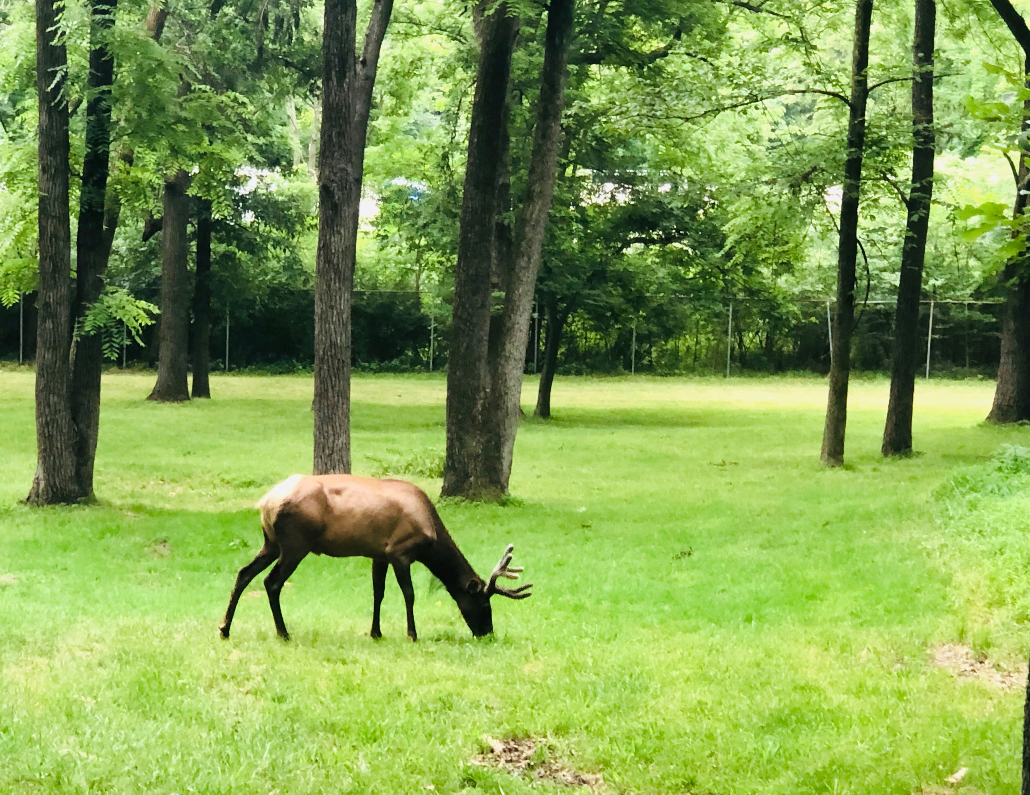 Mansion Oaks Park