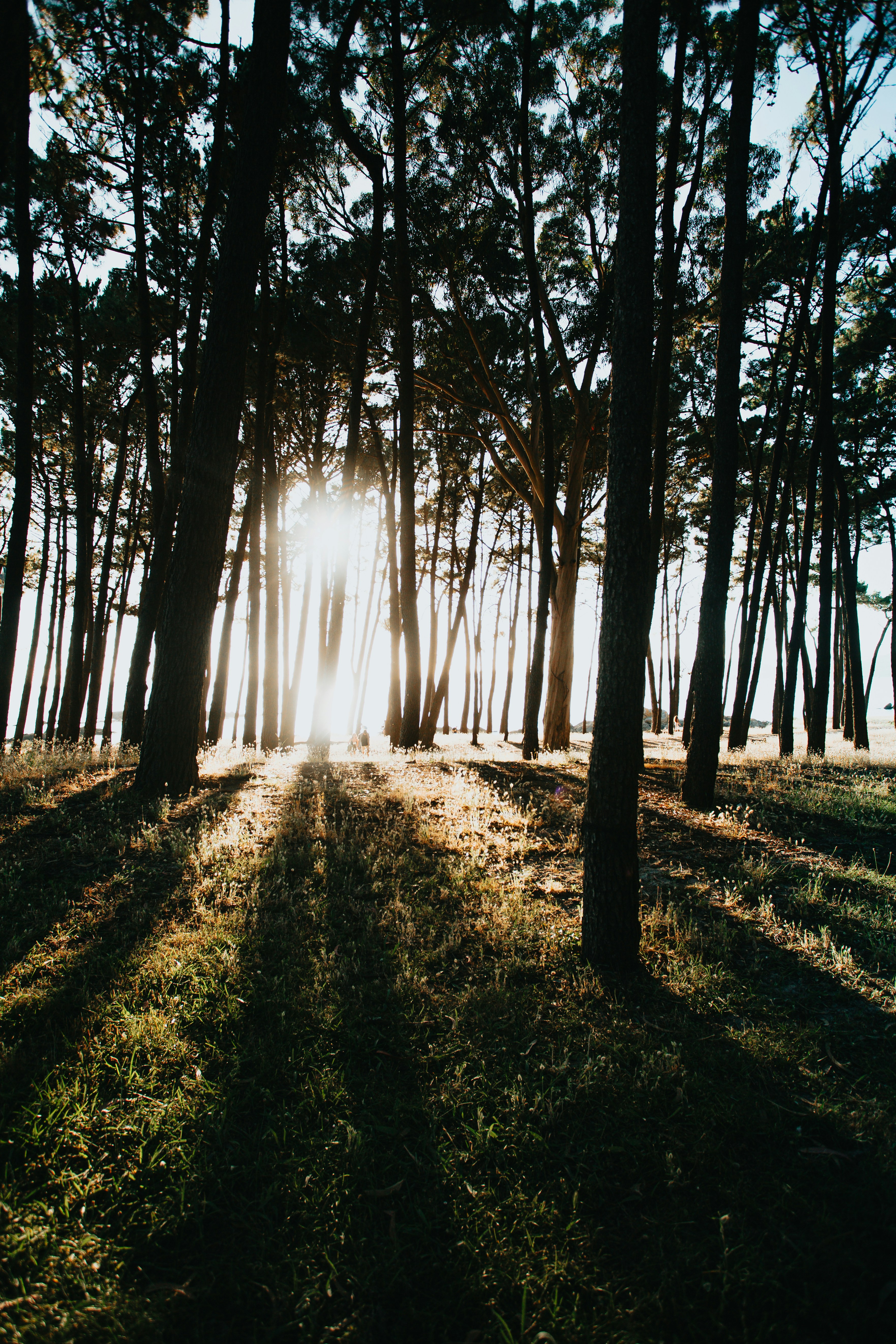 Photo by 3tnik
