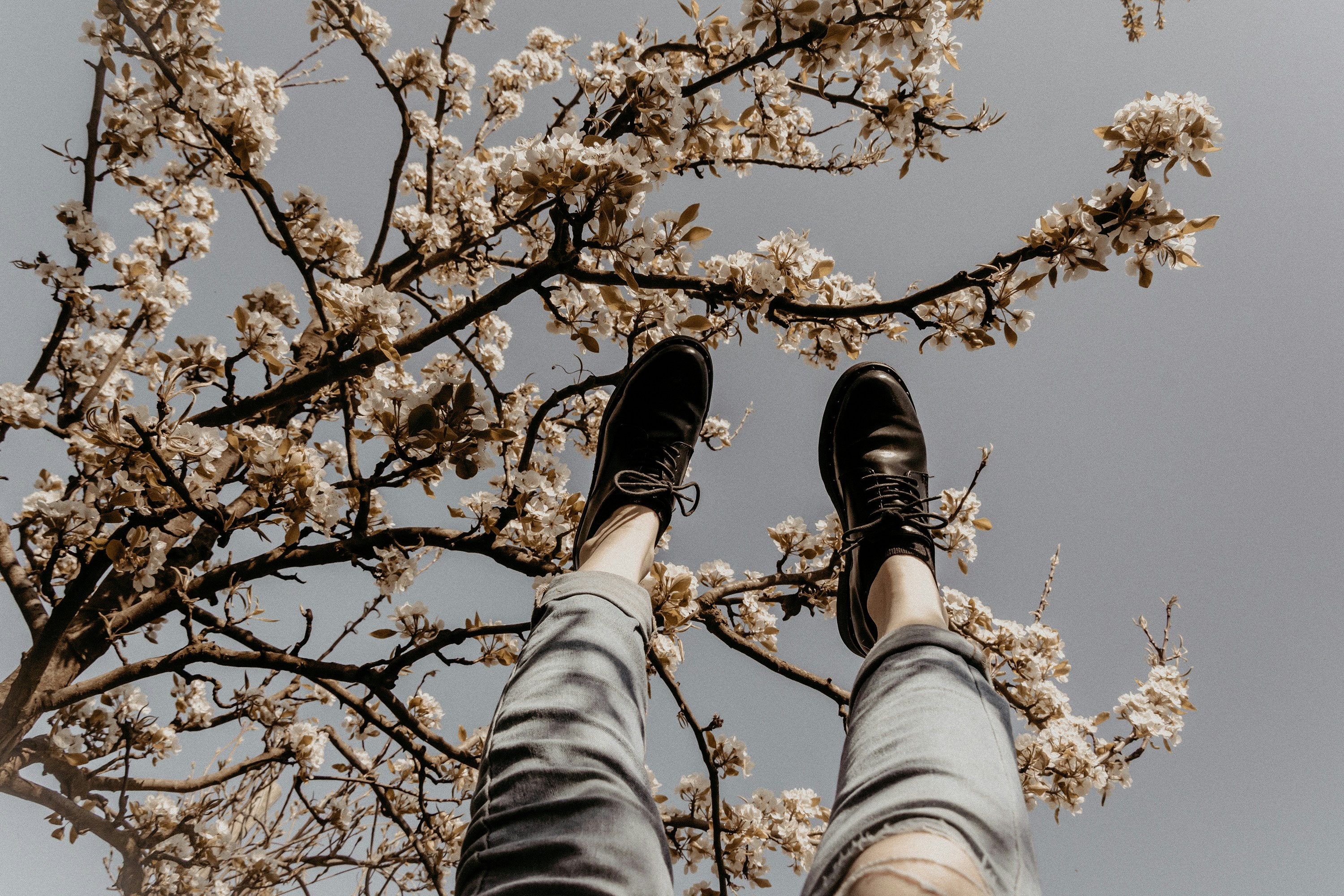 Feet, pointed in the air, with branches and flowers above them; it is disconcerting, an unnatural perspective.