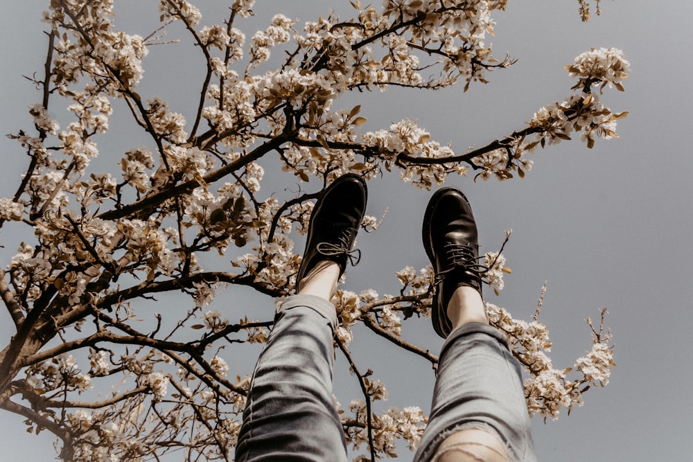 Person in grauen Jeans und schwarzen Schuhen, die tagsüber unter einem braunen Baum steht