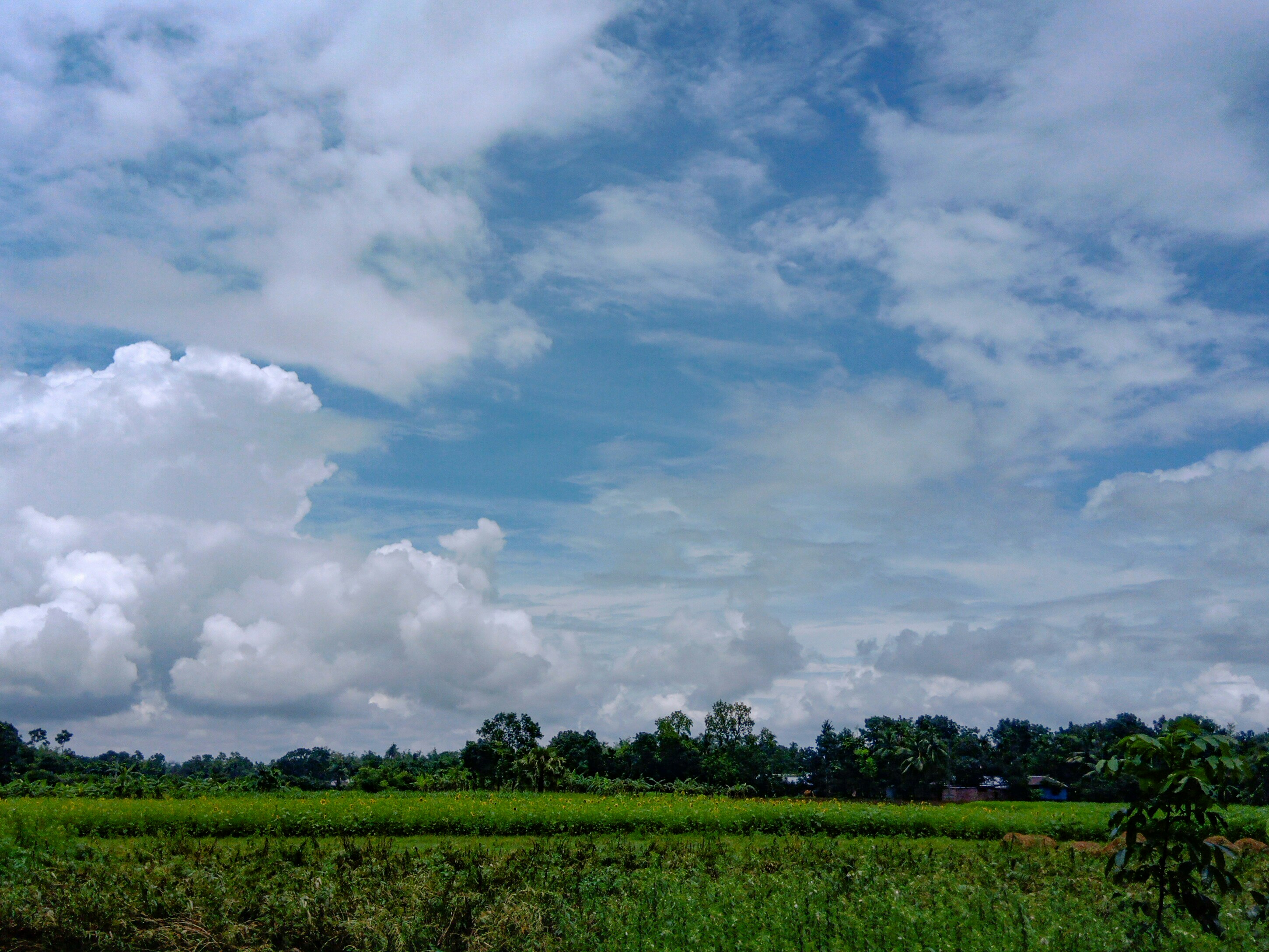 Photo by monirhasnan