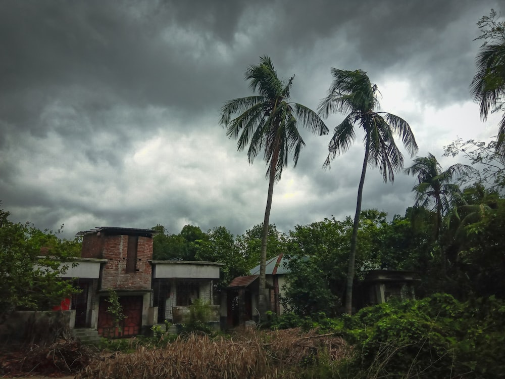 brown concrete building near palm trees under cloudy sky during daytime