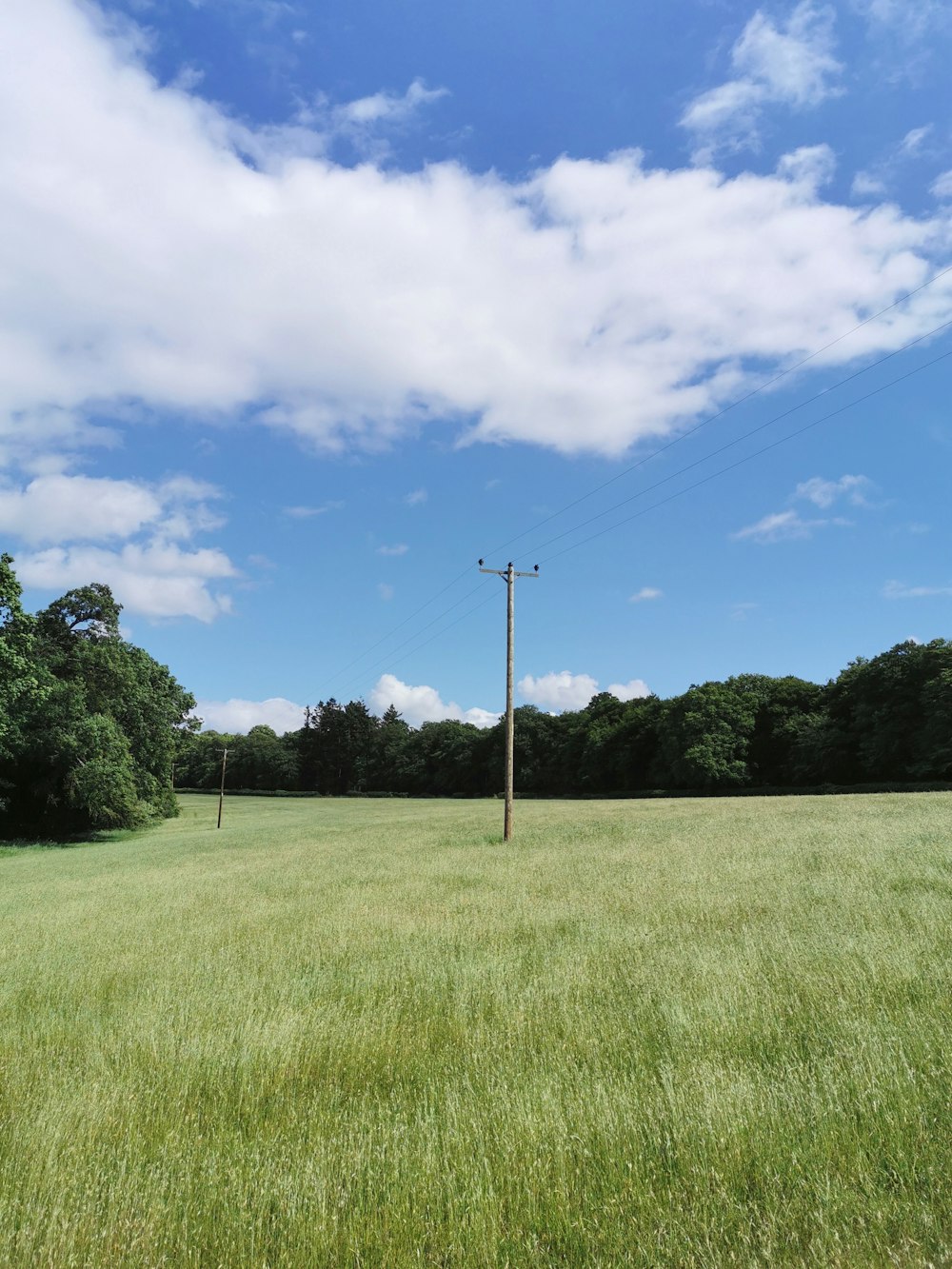 green grass field with green trees under blue sky and white clouds during daytime