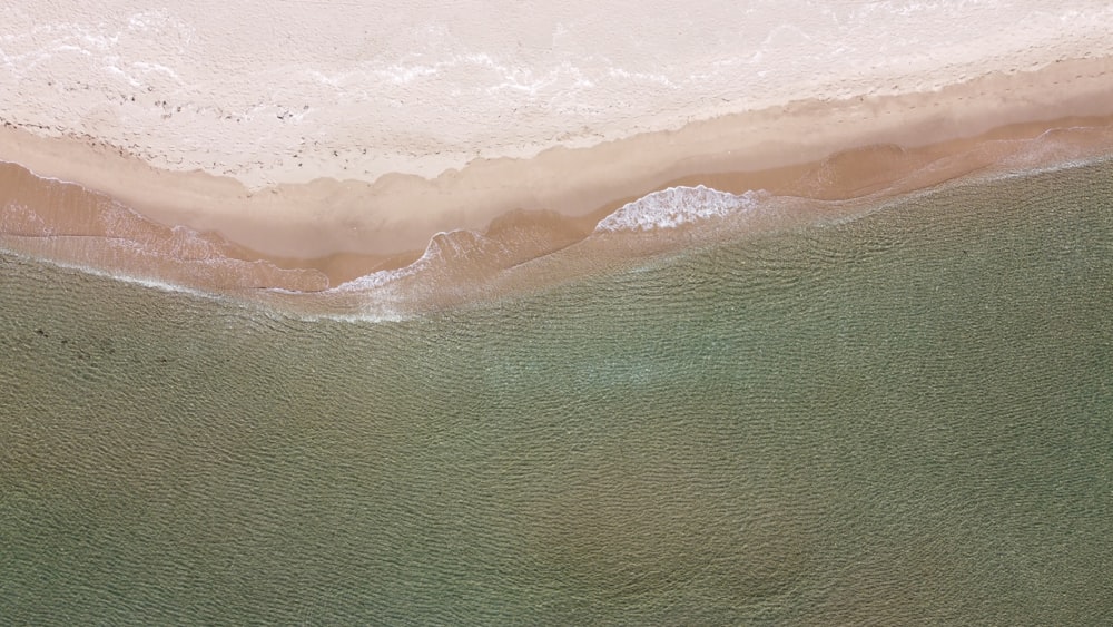 body of water during daytime