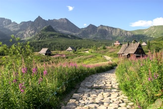 brown wooden house near green grass field and mountain during daytime