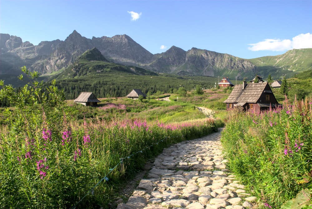 brown wooden house near green grass field and mountain during daytime