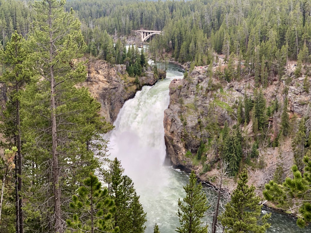 waterfalls in the middle of green trees