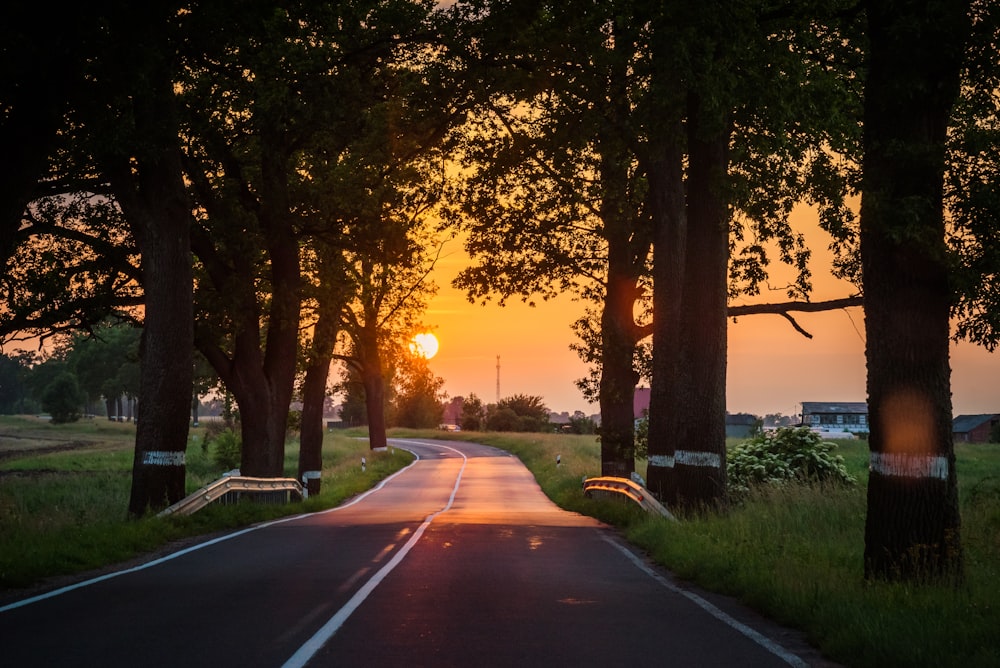 gray concrete road between green grass field during sunset