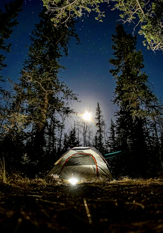 A cozy camping tent pitched under a starry night sky surrounded by pine trees.