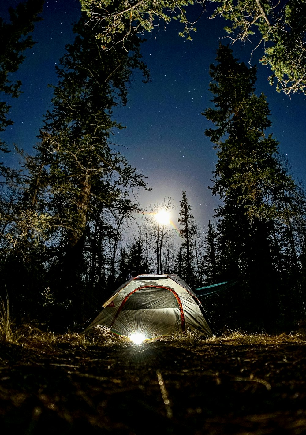 white tent on green grass field during night time