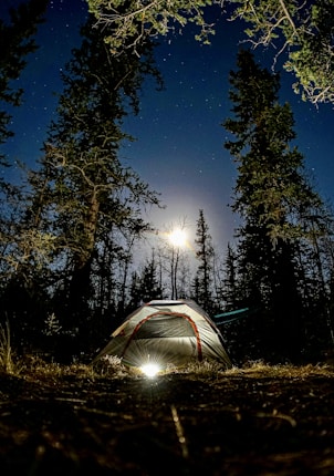 A single illuminated tent pitched in a forest under a starry night sky. The moon can be seen shining through the trees, casting a serene glow. Tall pine trees surround the tent, creating a peaceful and secluded atmosphere.
