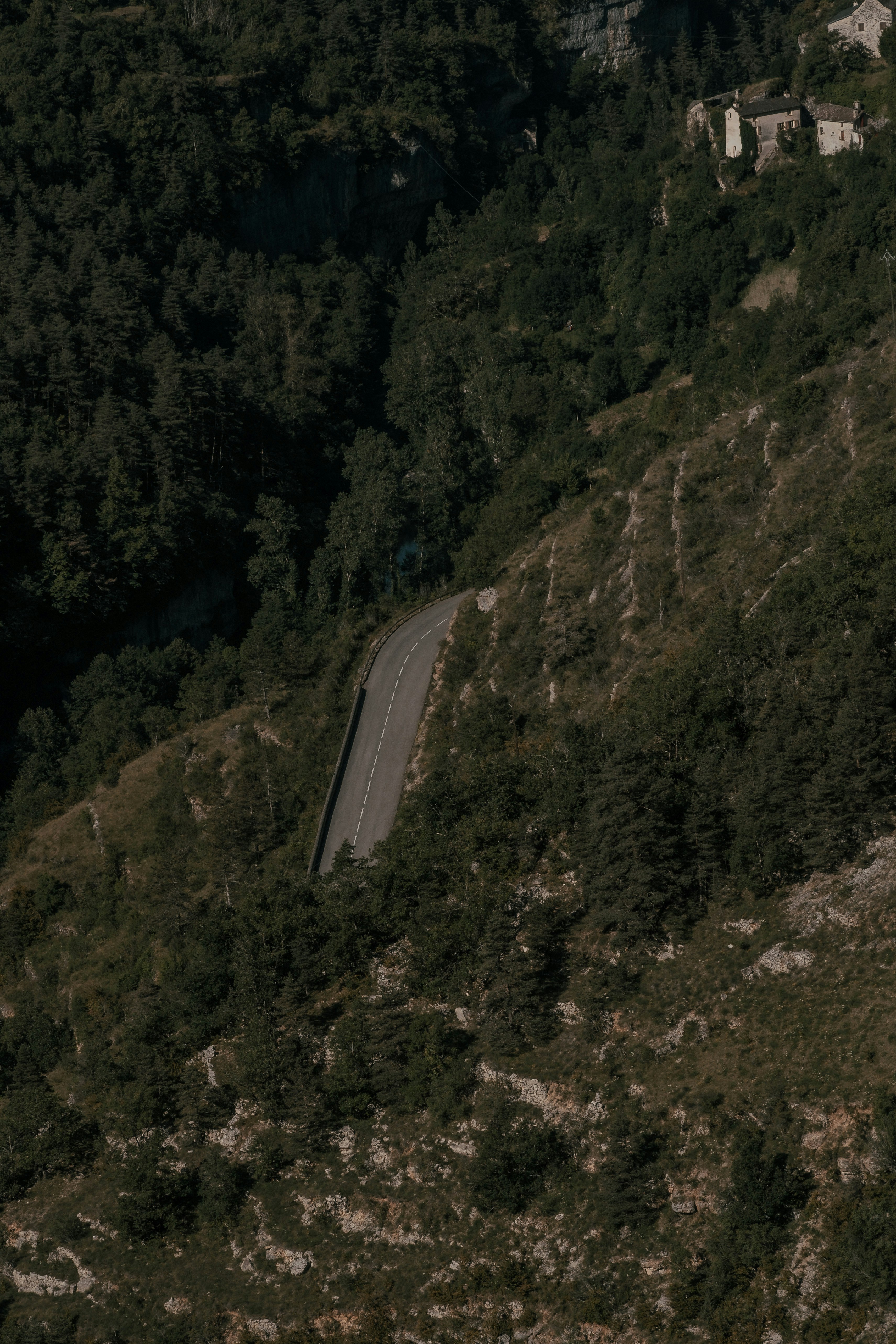 Road in the nature IG: thomas_de_luze