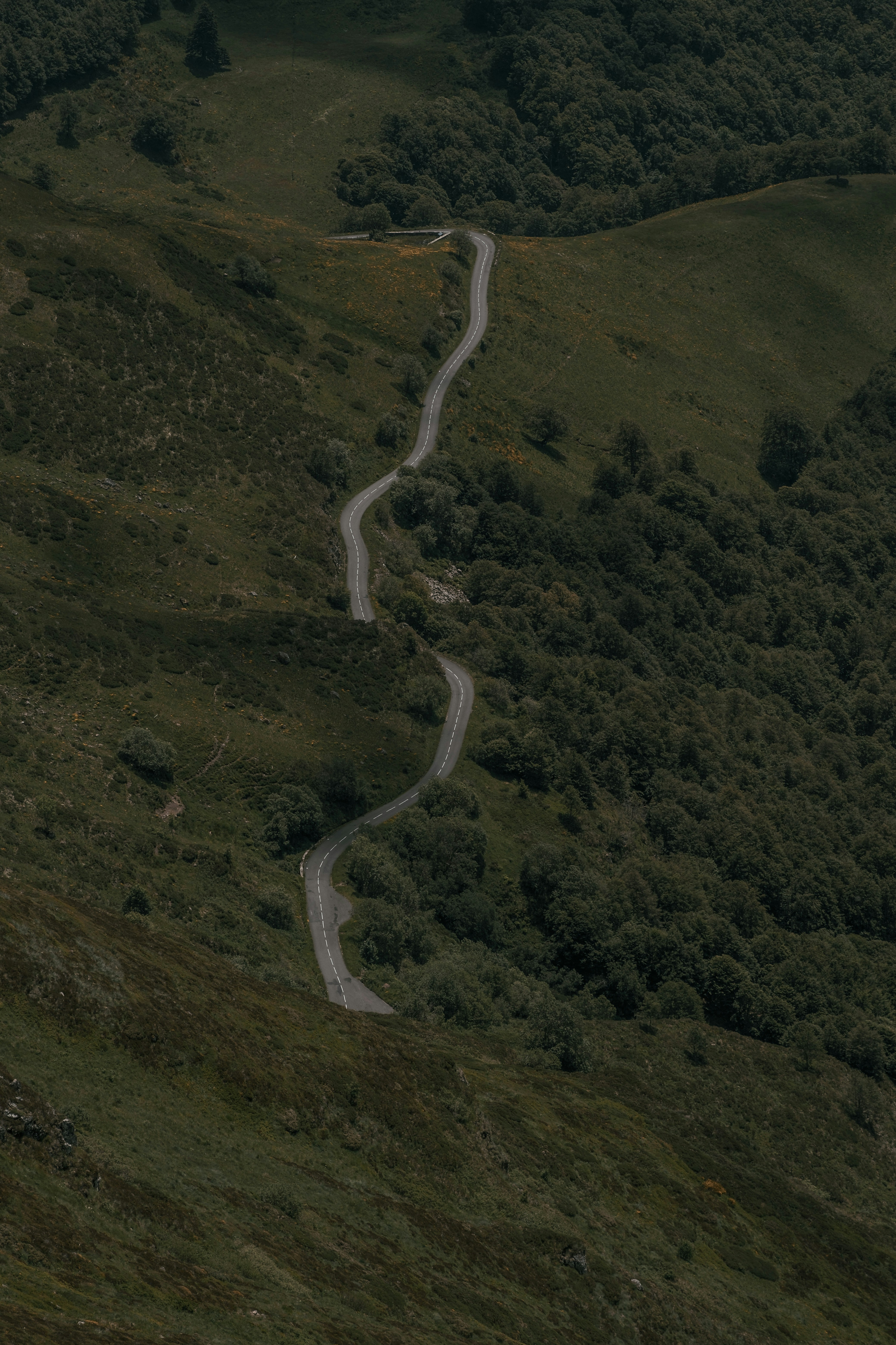 Photo by thomasdeluze