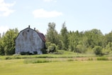 A rustic red barn surrounded by green pastures under a clear blue sky.