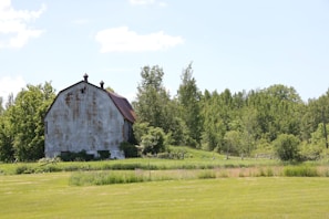 A rustic red barn surrounded by green pastures under a clear blue sky.
