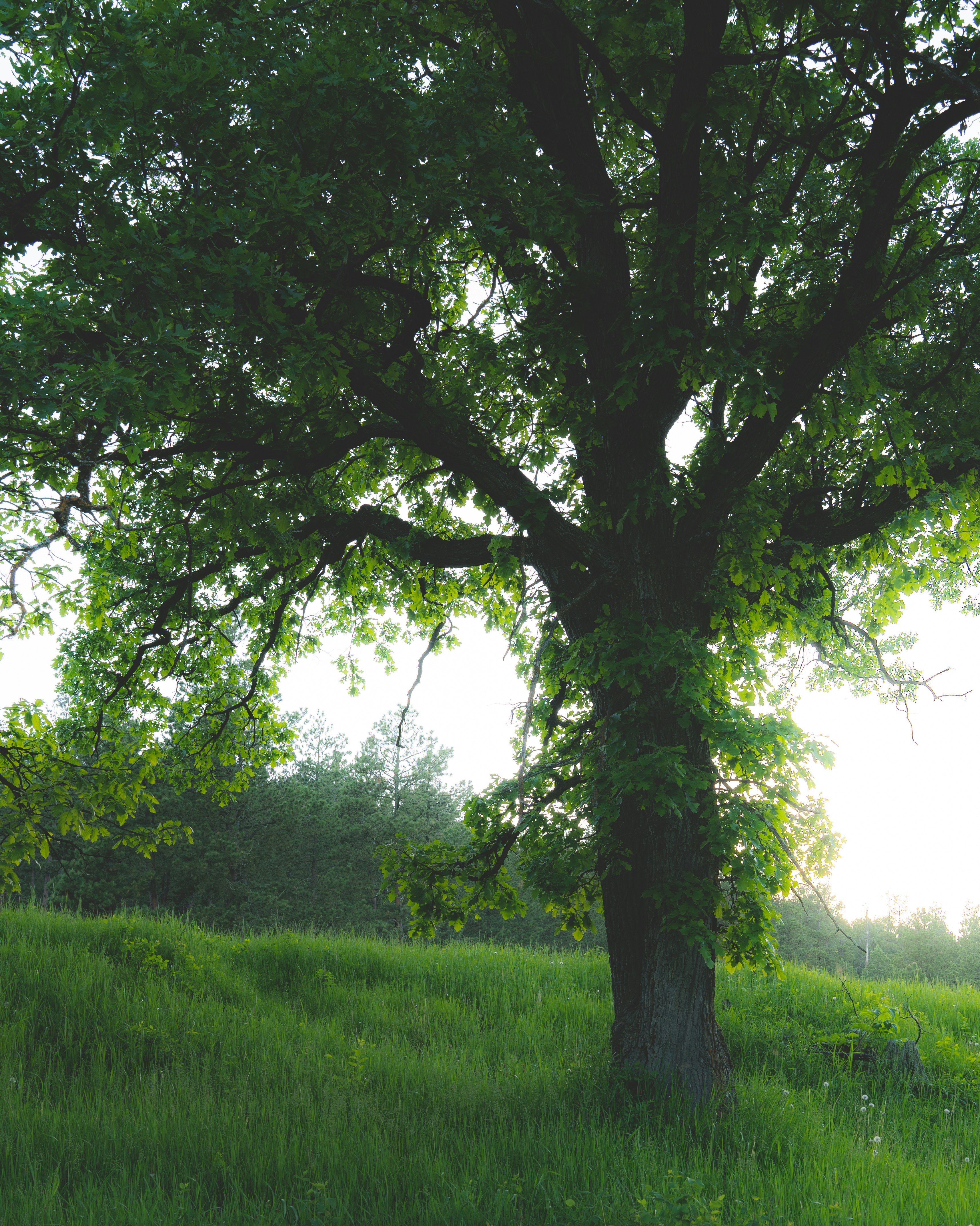 Photo by occupanditemporis