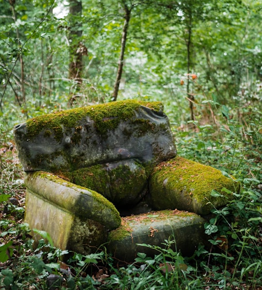 brown and green tree log on green grass during daytime in Saint-Rémy-lès-Chevreuse France