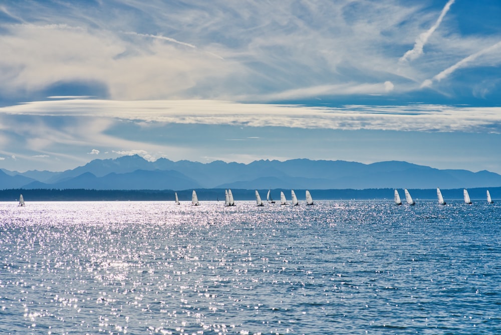 white boats on sea under white clouds and blue sky during daytime