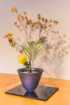 A minimalist floral arrangement is presented in a sleek, dark vase set on a reflective surface. The arrangement includes delicate branches with small red and yellow flowers, complemented by a bright yellow spherical bloom and green leaves. The background is softly lit, casting gentle shadows that enhance the overall composition.
