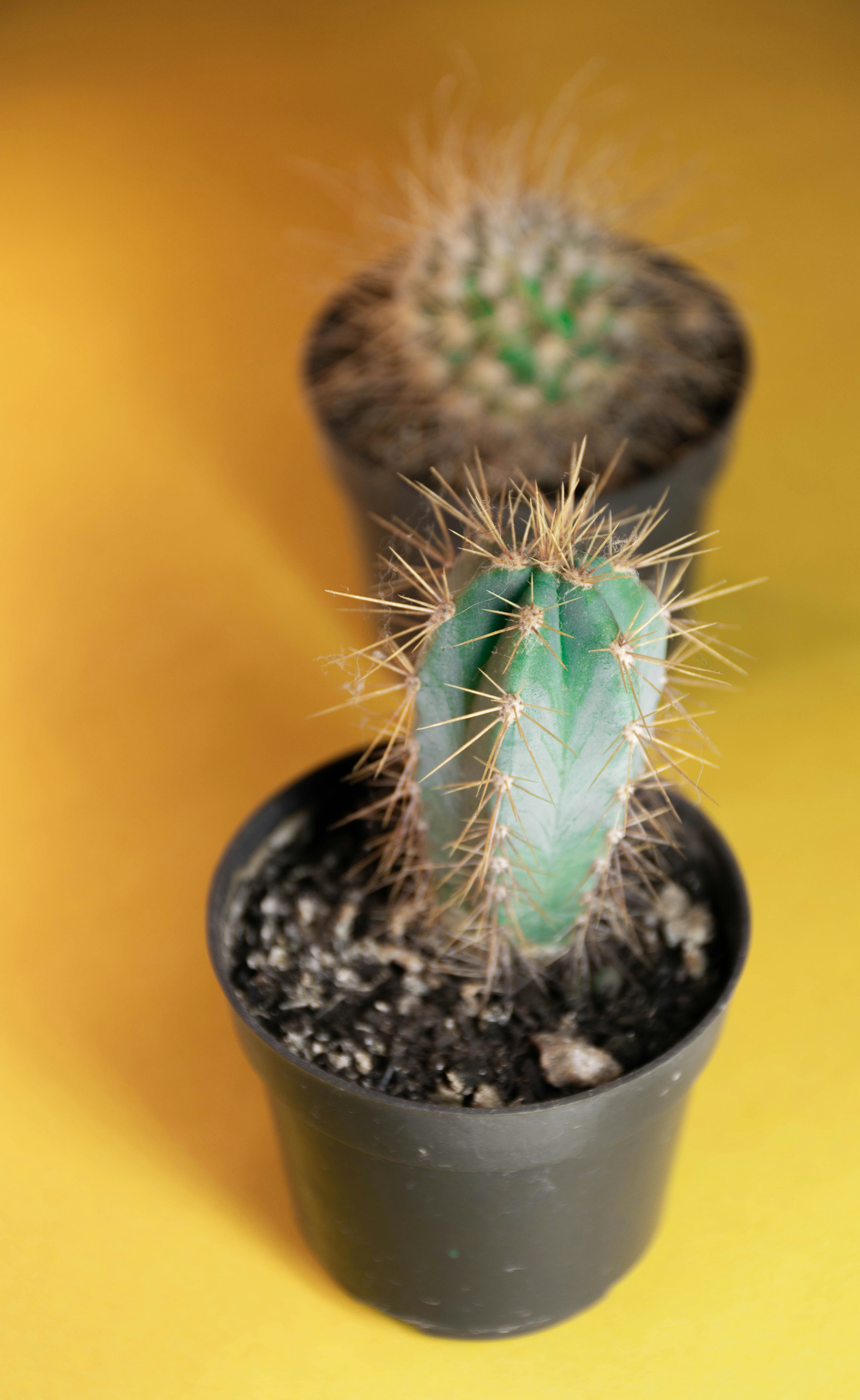 Photo by lucasgwendt