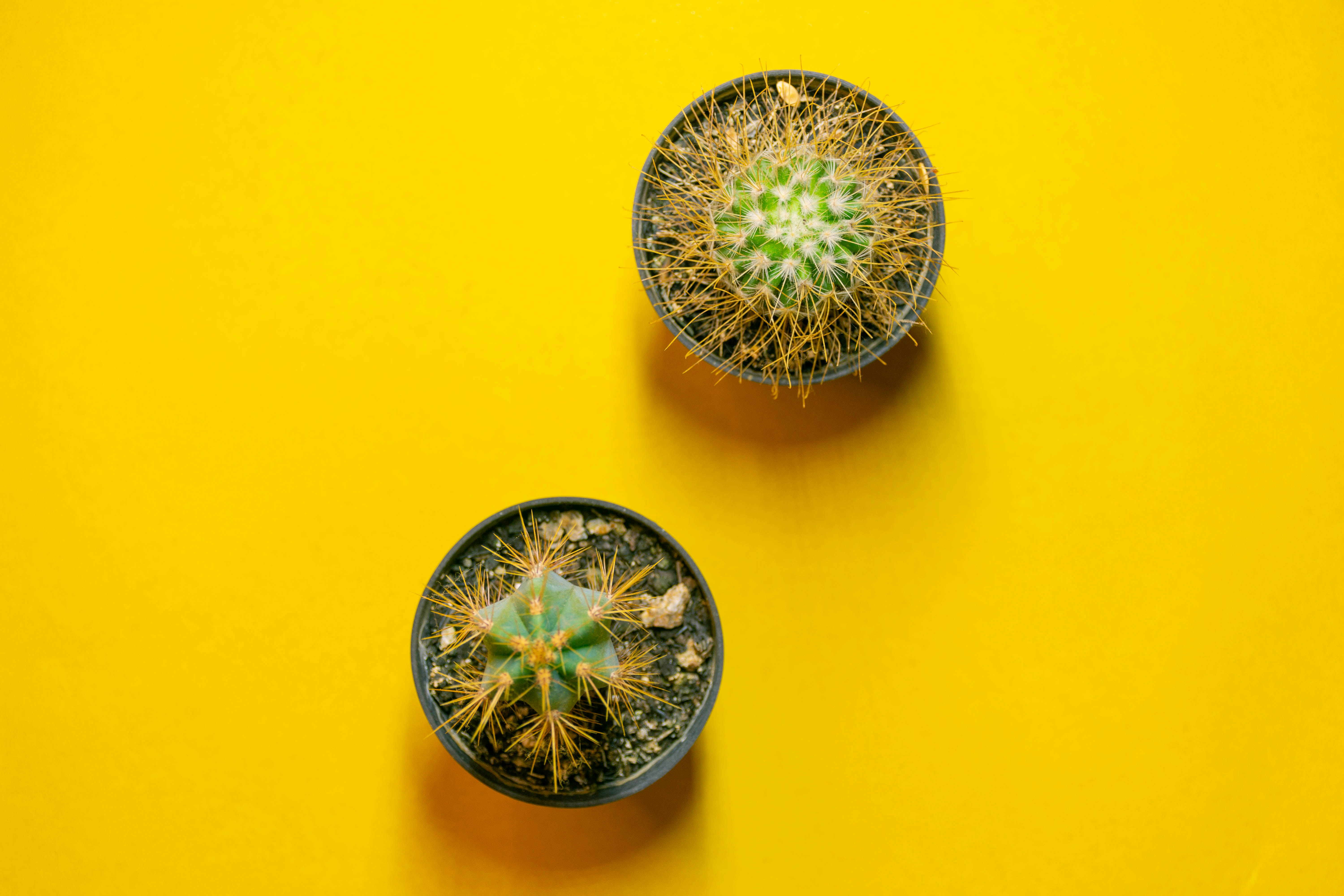 Photo by lucasgwendt