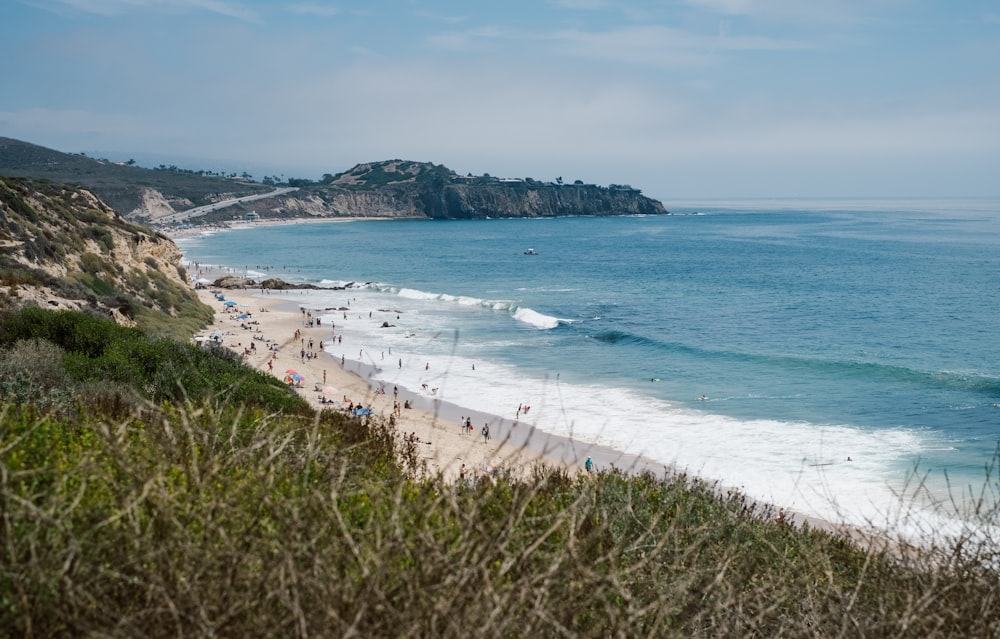 people on beach during daytime