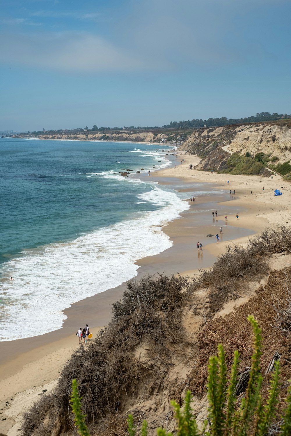 people on beach during daytime