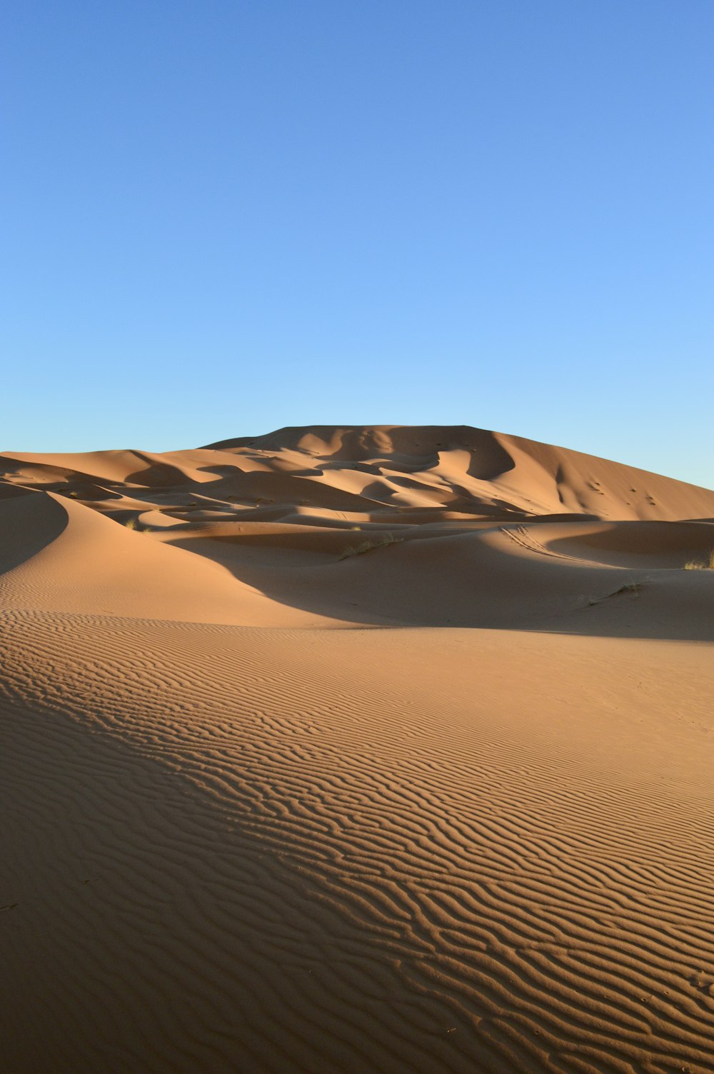 brown sand dunes under blue sky during daytime