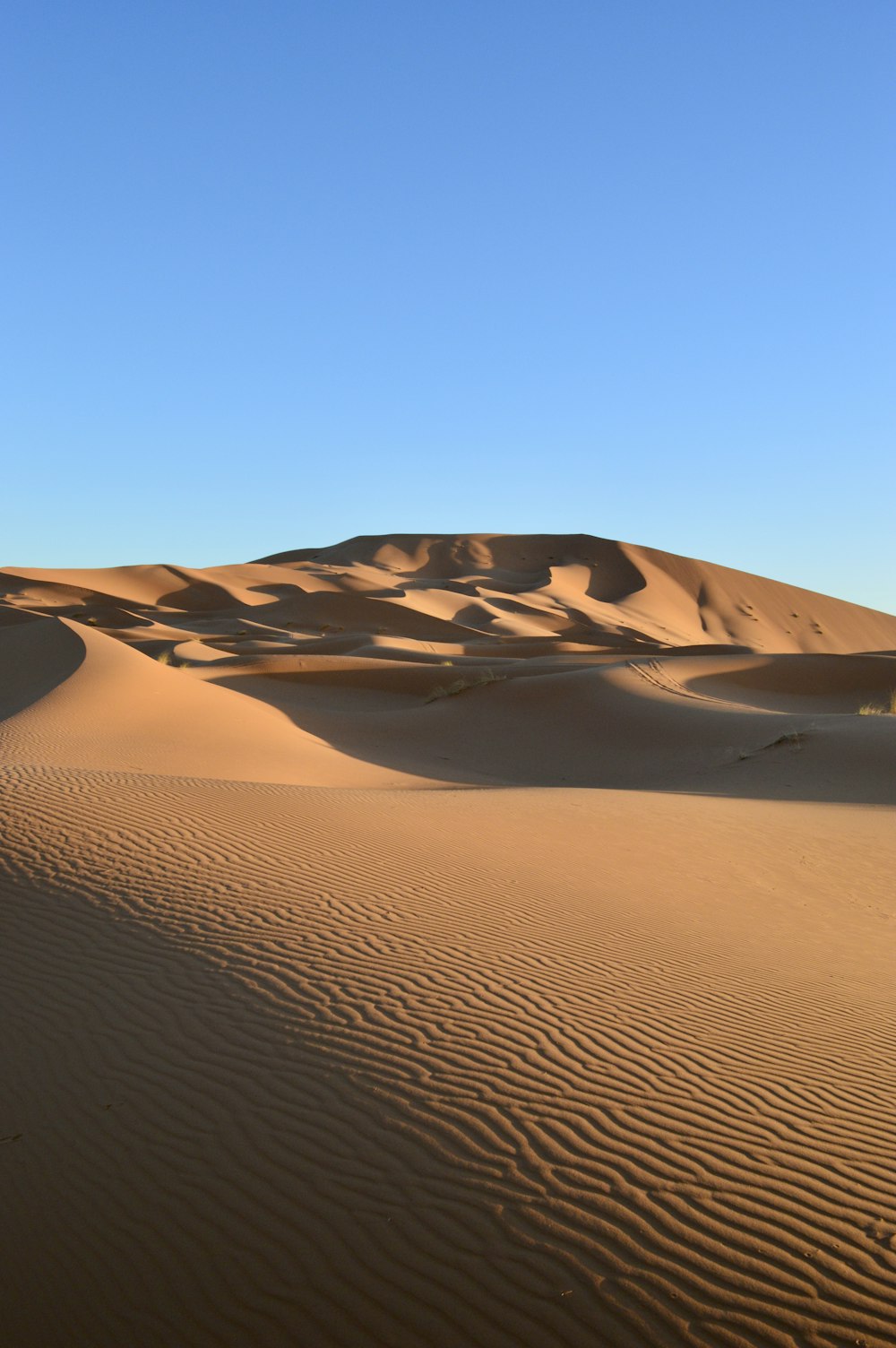 Dunas de arena marrón bajo el cielo azul durante el día