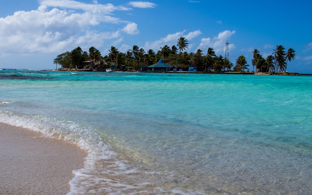 green palm trees on beach during daytime