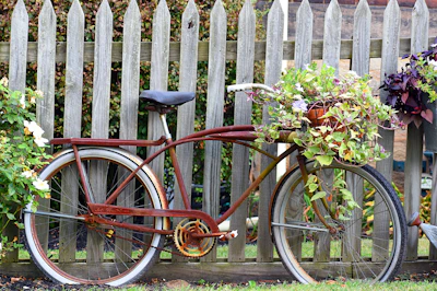 Close-up of a vintage bicycle leaning against a rustic wooden fence surrounded by wildflowers.