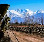 brown wooden fence near snow covered mountain during daytime
