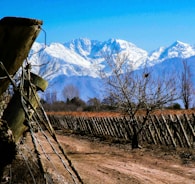 brown wooden fence near snow covered mountain during daytime