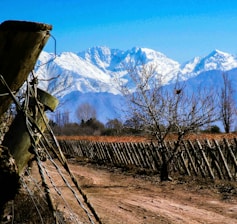 brown wooden fence near snow covered mountain during daytime