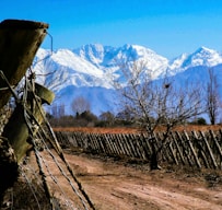 brown wooden fence near snow covered mountain during daytime
