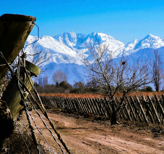 brown wooden fence near snow covered mountain during daytime in Mendoza Argentina