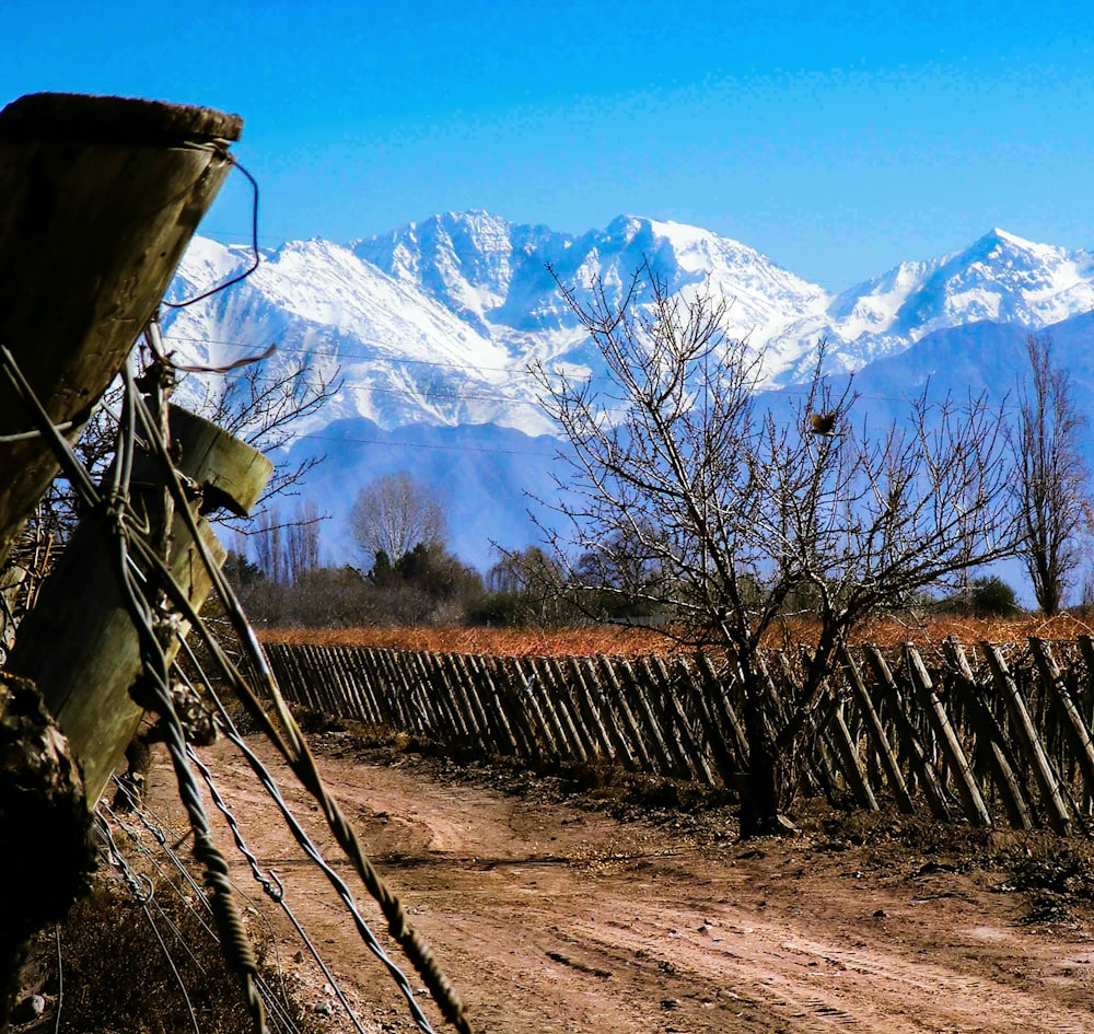 brown wooden fence near snow covered mountain during daytime