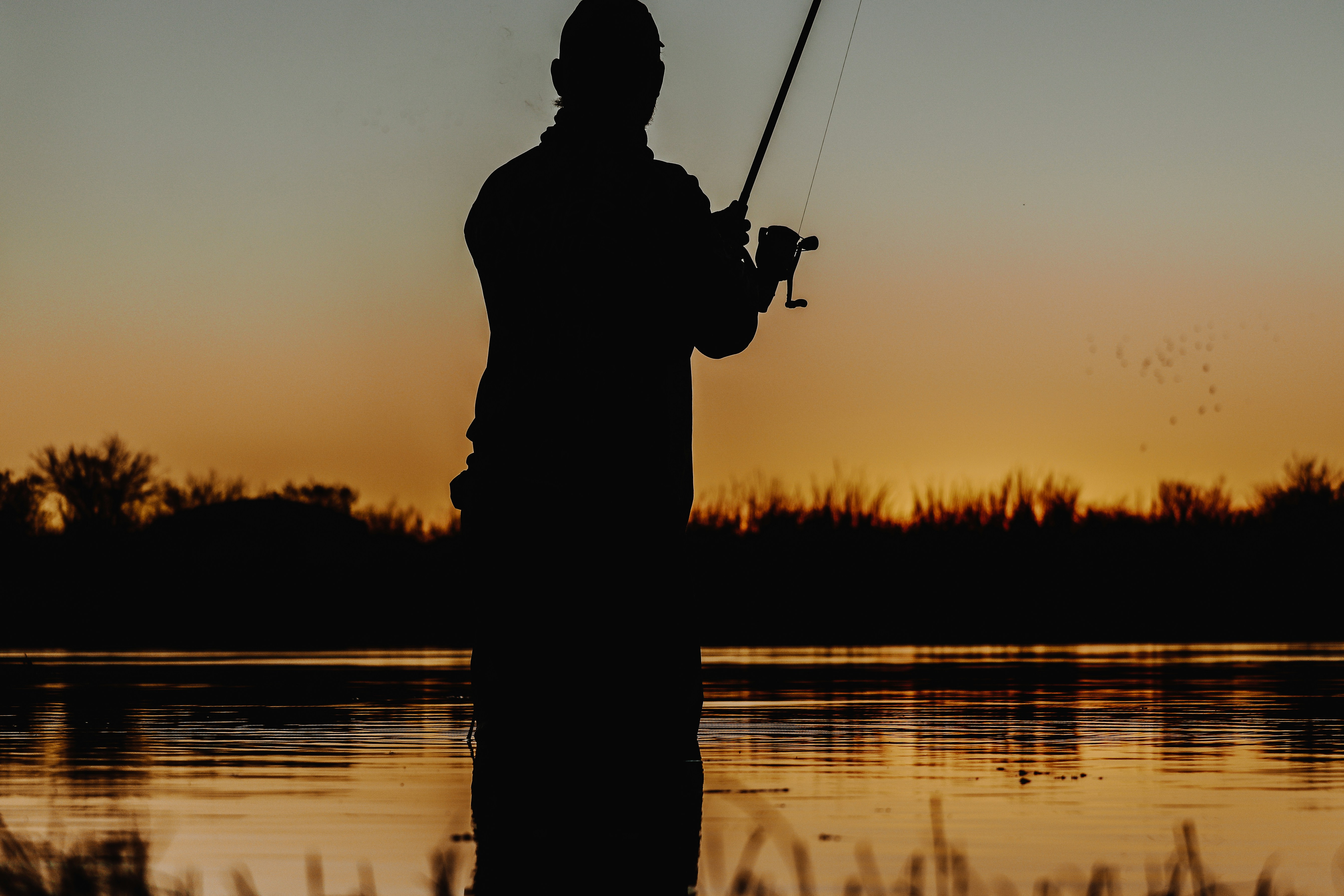 Lago de pesca al atardecer con cañas y reflejo en el agua