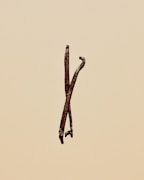 Two dried vanilla beans are positioned upright against a plain beige background. The beans are dark brown, slightly twisted, and have a rough texture.