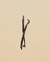 Elegant close-up of hands holding freshly harvested vanilla pods against a warm beige background.