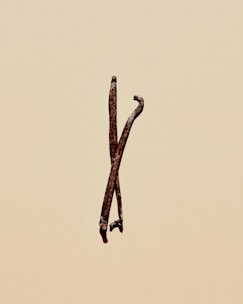 Two dried vanilla beans are positioned upright against a plain beige background. The beans are dark brown, slightly twisted, and have a rough texture.